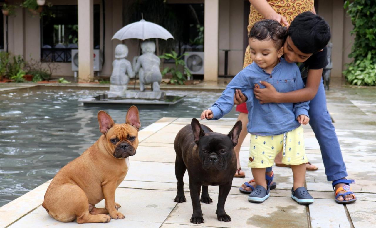 Manas Resort With Petting Zoo, イガットプリ エクステリア 写真