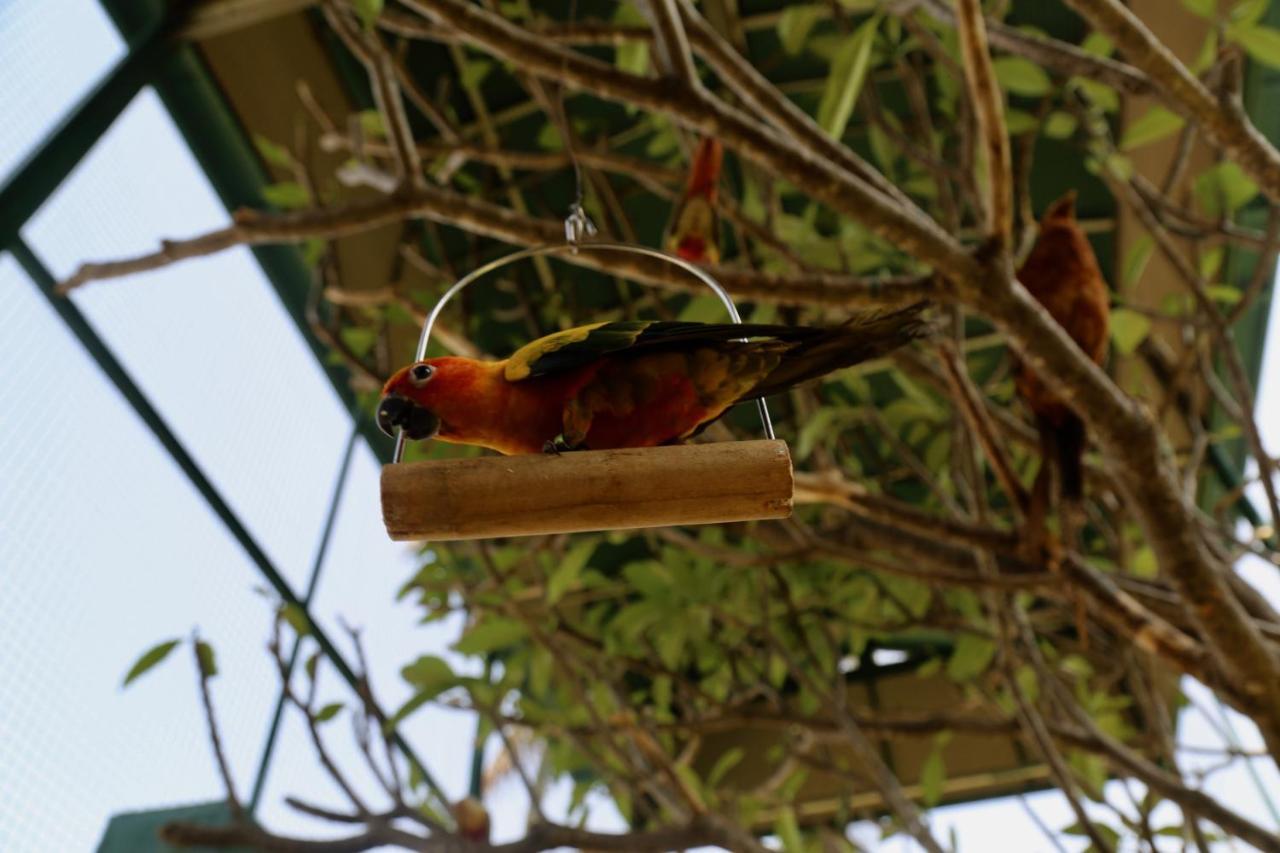 Manas Resort With Petting Zoo, イガットプリ エクステリア 写真